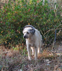 Ruthie