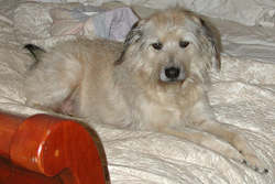 Ruthie